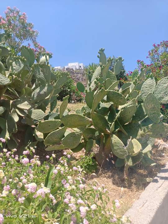 Sonstiges Esperides Beach Resort