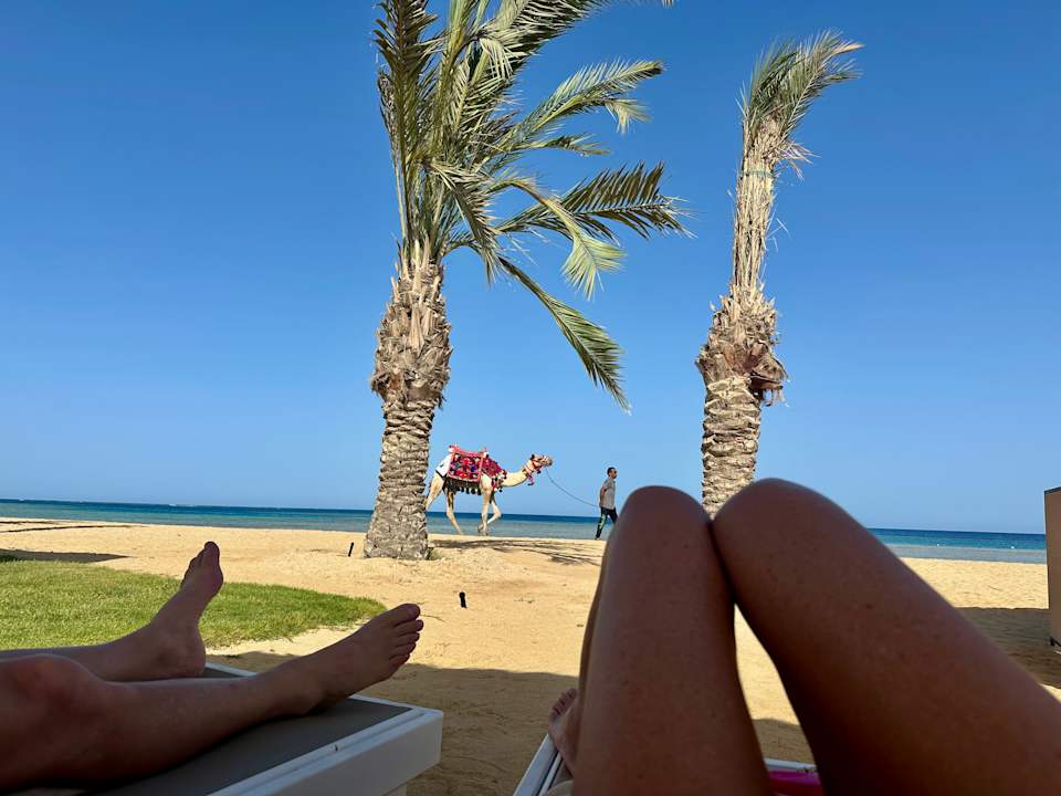 Strand SUNRISE Anjum Resort Marsa Alam