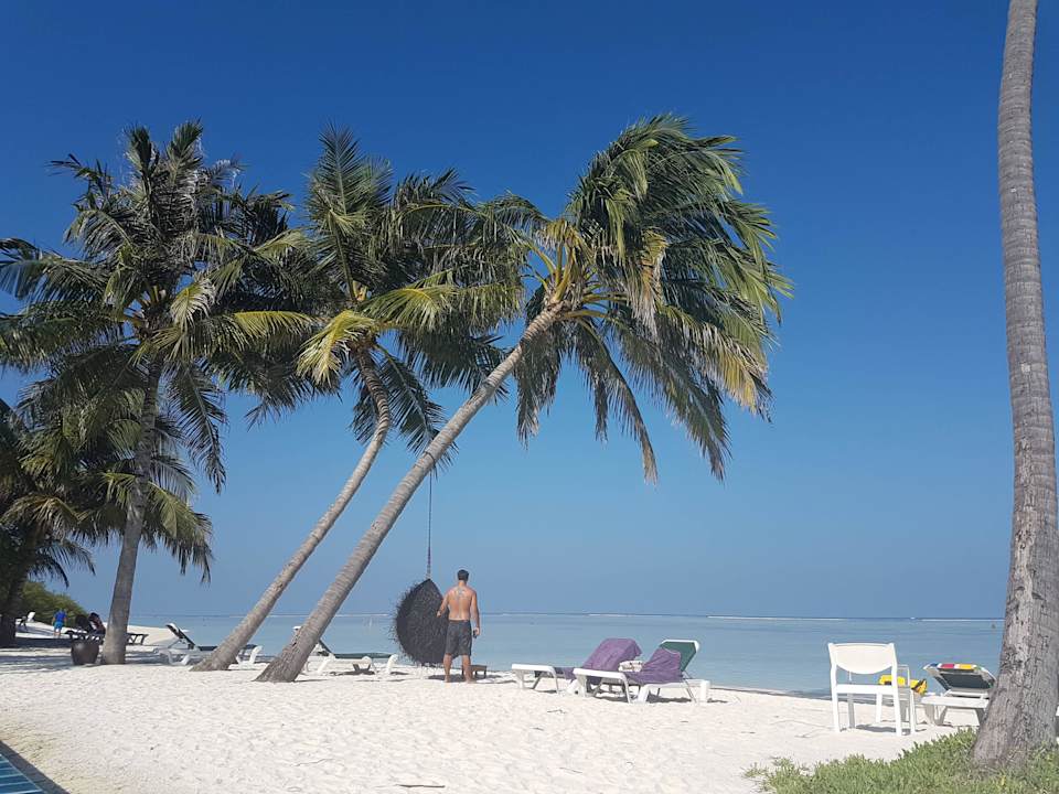 Strandansicht Meeru Maldives Resort Island