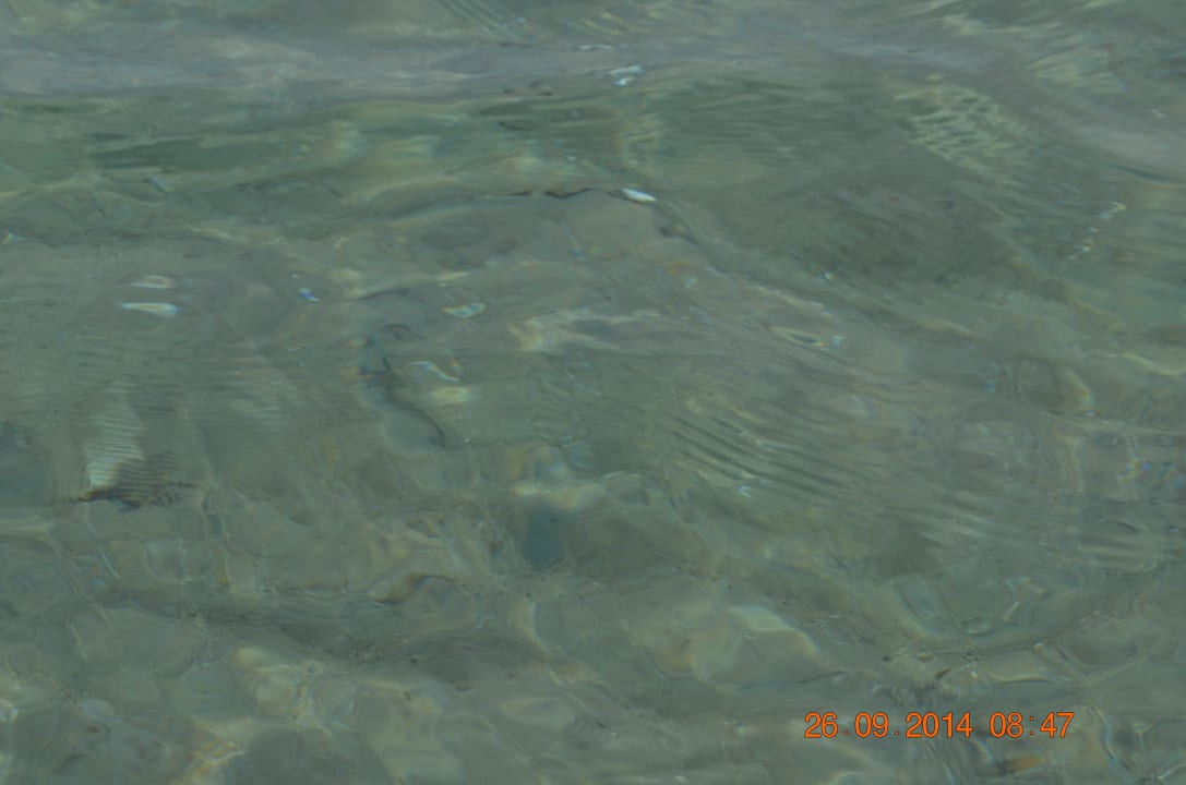  st we wrześniu Ilios K Village Resort