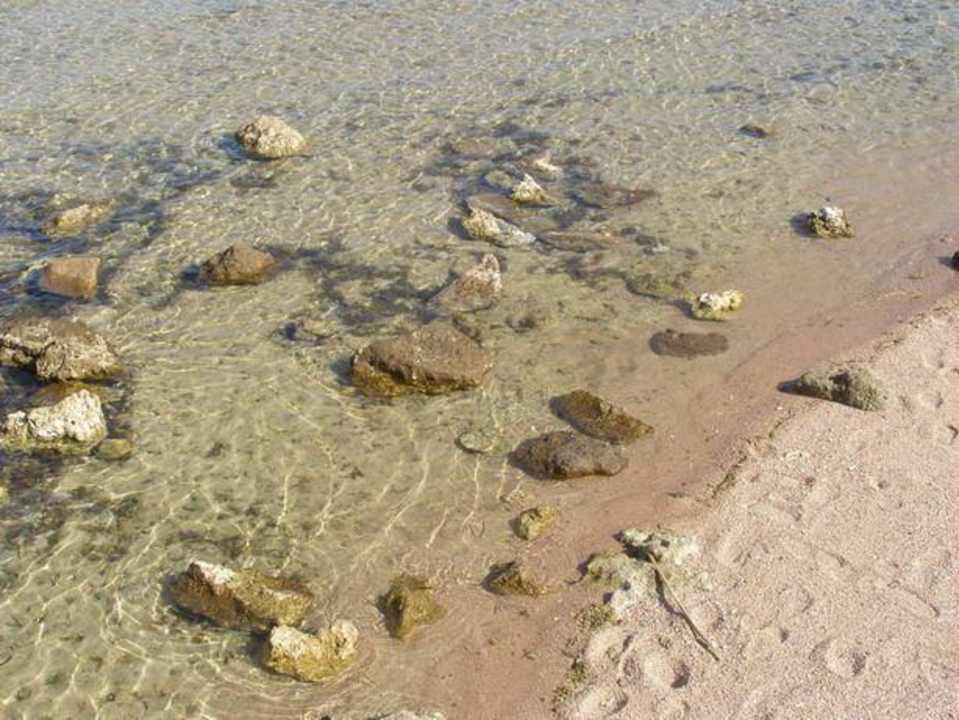 Plaża Sharm Grand Plaza Resort