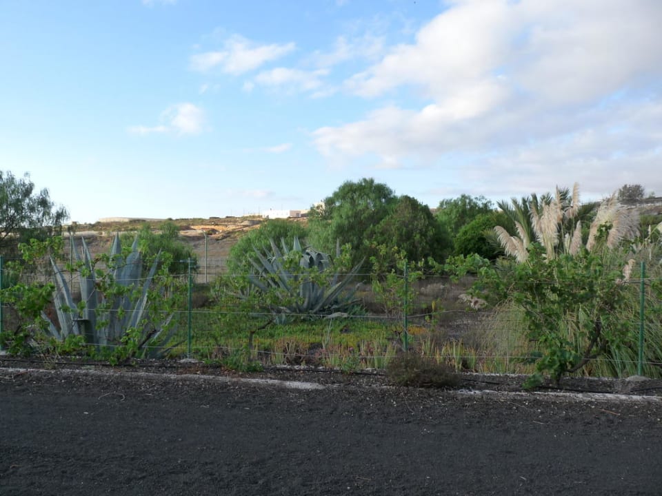 Ausblick von der Terrasse Finca Arico