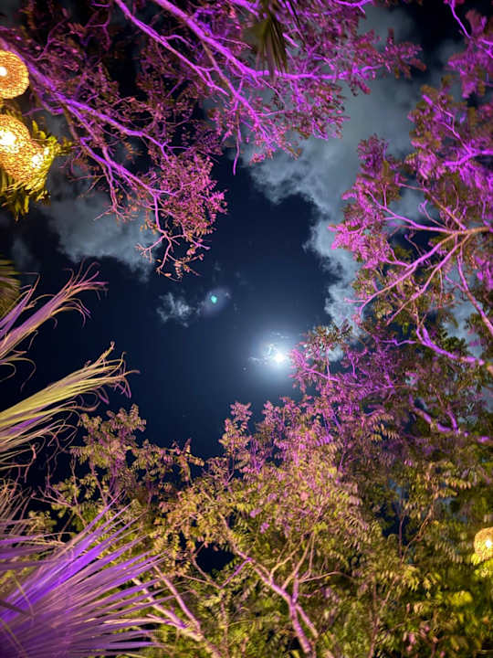 Gartenanlage Viva Azteca by Wyndham - All Inclusive Resort