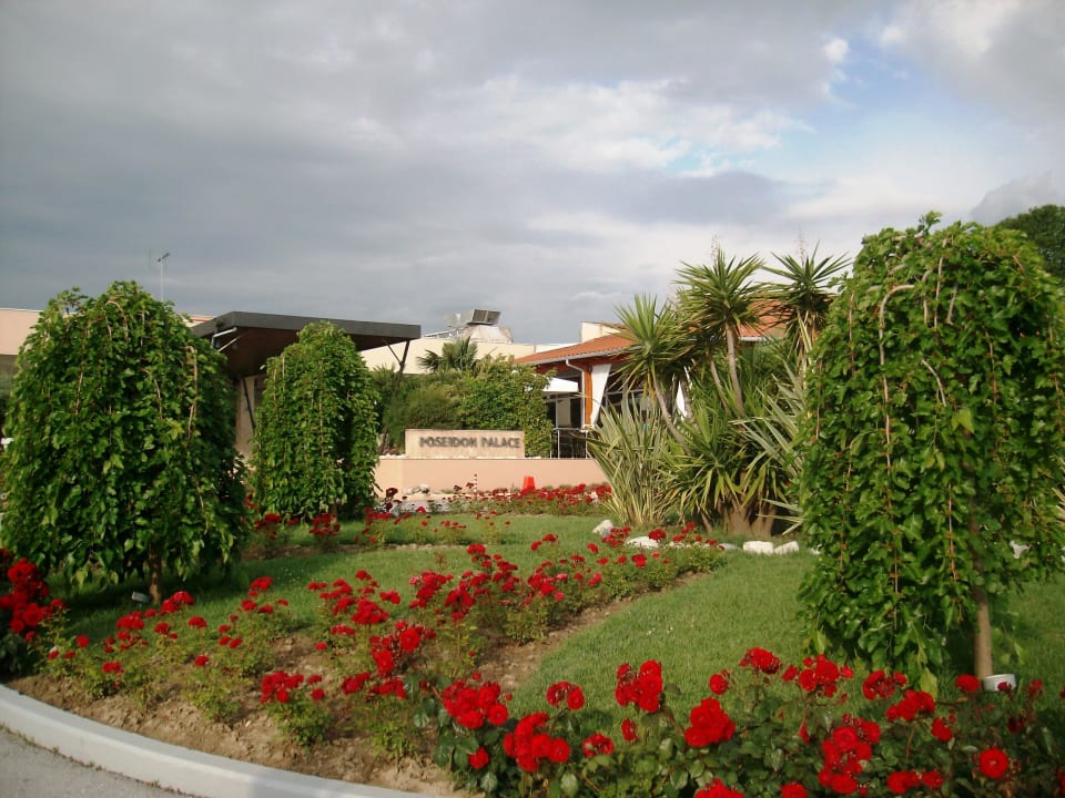 Maulbeerbäume im Rosenhain alltoura Club Hotel Poseidon Palace