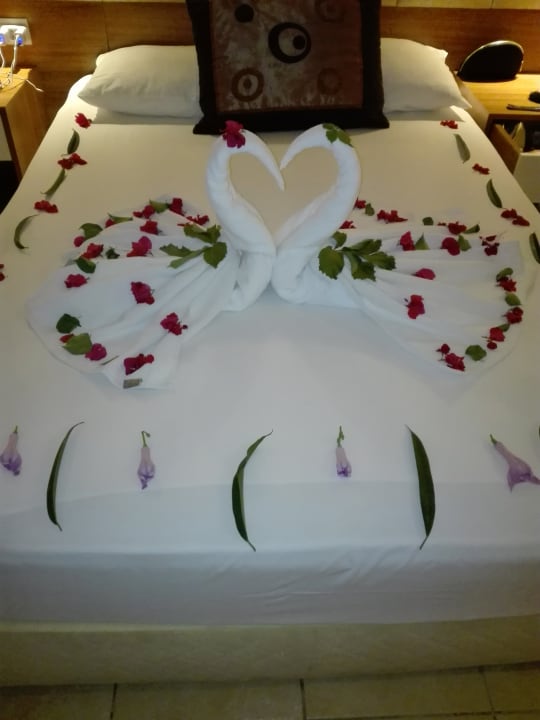 Zimmer Oz Hotels Incekum Beach