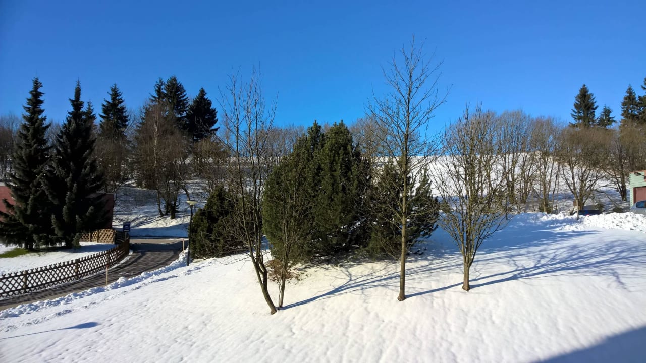 Hinter dem Hotel AHORN Waldhotel Altenberg