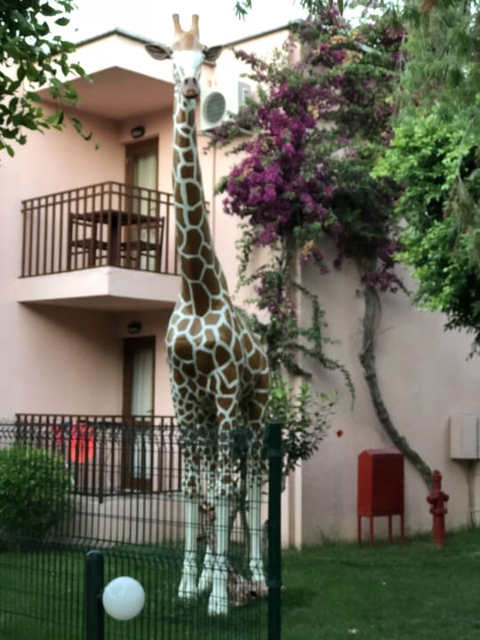 Gartenanlage VONRESORT Golden Beach