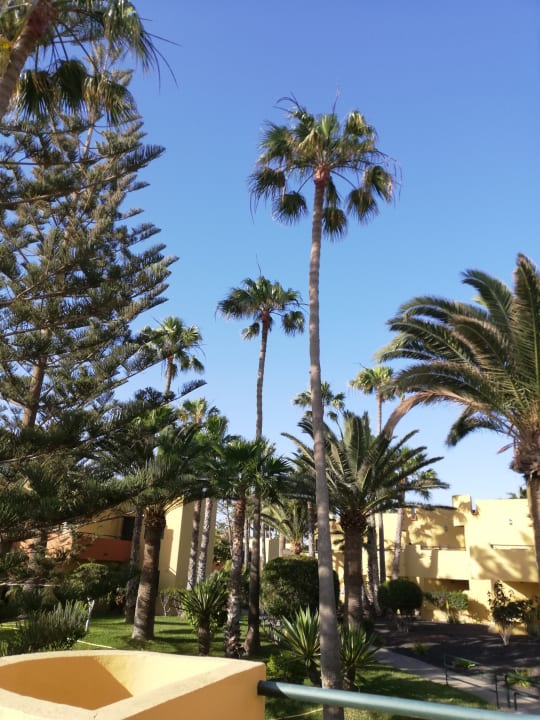 Ausblick Atlantic Garden Beach Mate