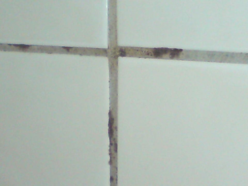 Schimmel im Bad Hotel Oase