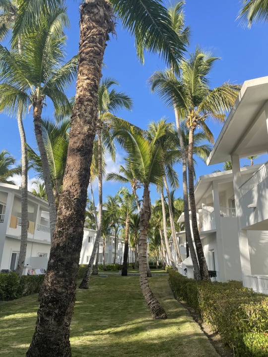 Zimmer Hotel Riu Bambu