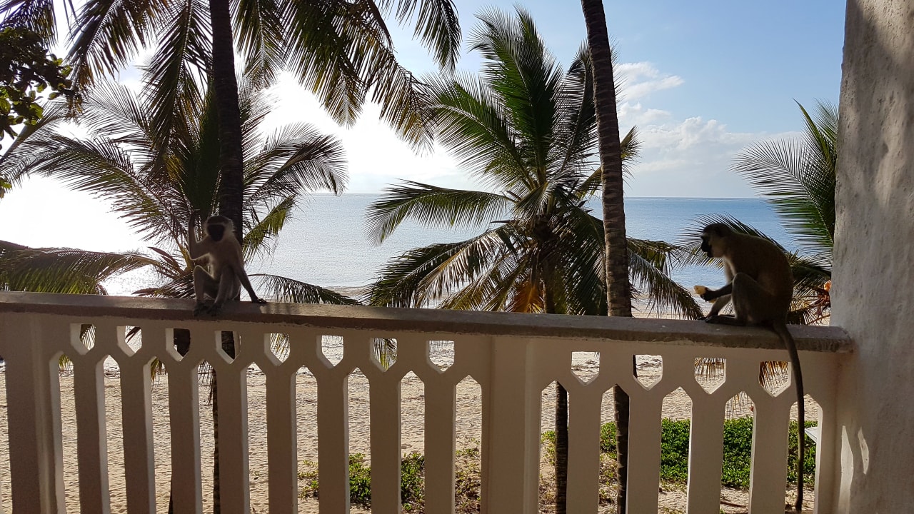 Ausblick Travellers Beach Hotel & Club