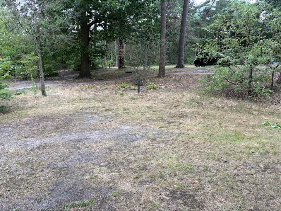 Zimmer Roompot Bospark 't Wolfsven