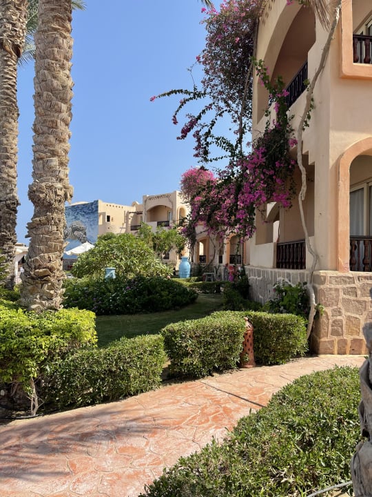 Gartenanlage Dream Lagoon Resort & Aqua Park