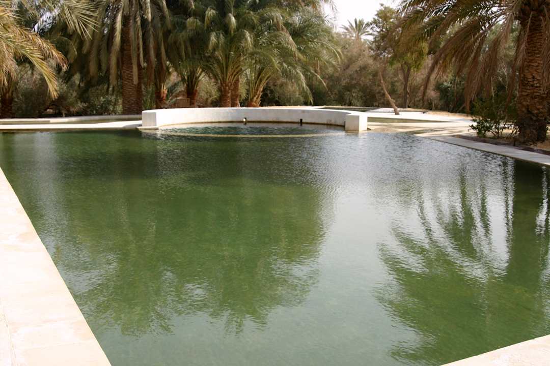 Pool Adrere Amellal Eco Lodge