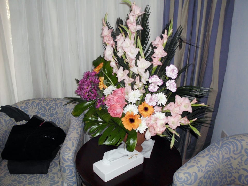 Blumenüberraschung Stella Garden Resort & Spa, Makadi Bay