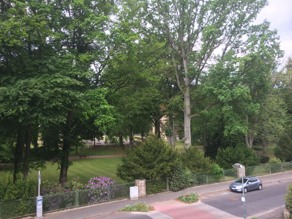 Blick zum Kurpark vom Zimmer 38 Hotel Margarethenhof