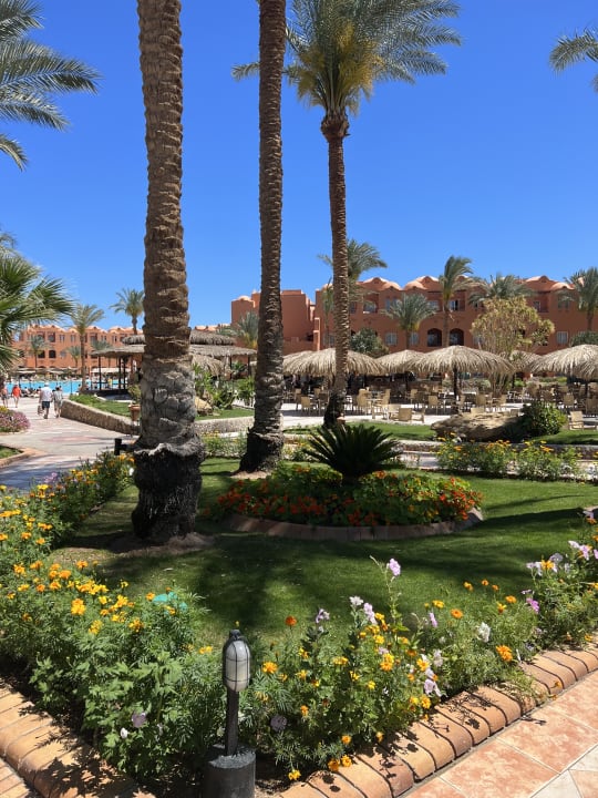 Gartenanlage Jaz Makadi Oasis Resort