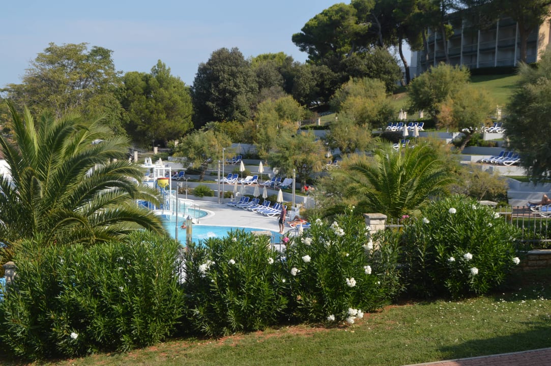 Pool Maistra Select Belvedere Resort