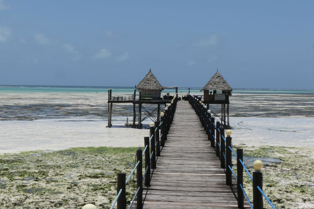 Jetti Restaurant & Bar Spice Island Hotel & Resort