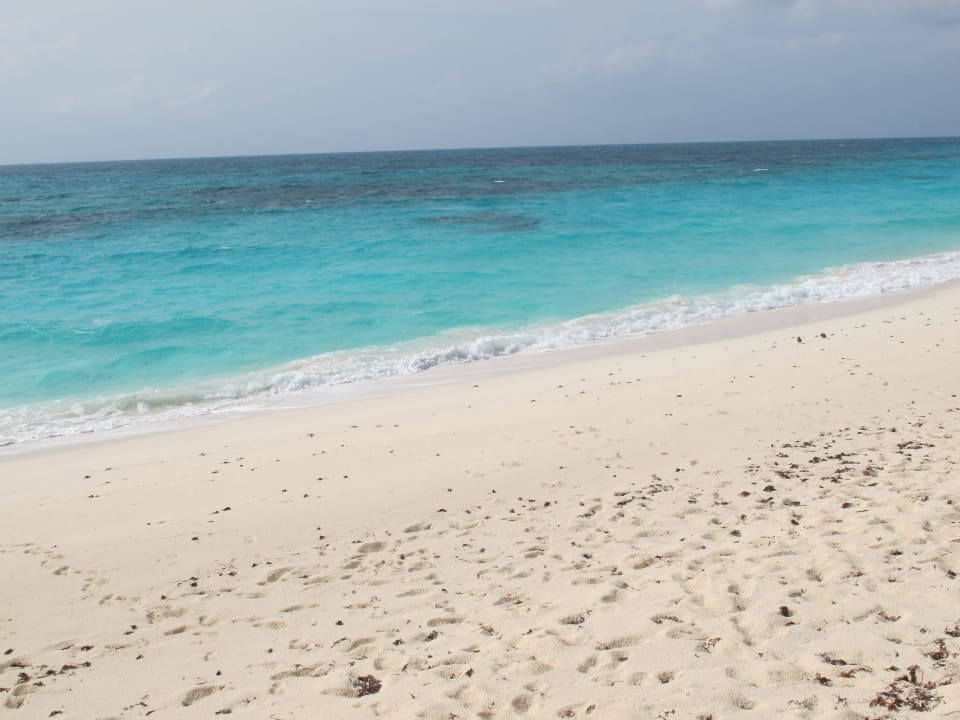 Beach Bird Island Seychelles - Private Island Villas