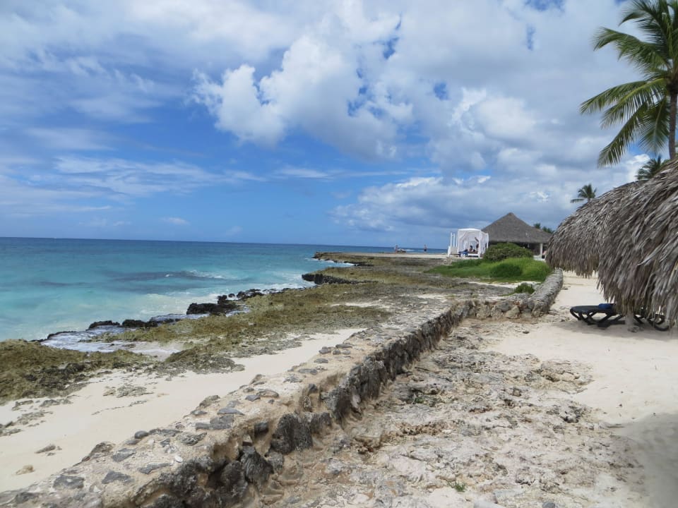 Der Korallenstrand vor den Bungalows Hotel Viva Dominicus Beach by Wyndham - All Inclusive Resort