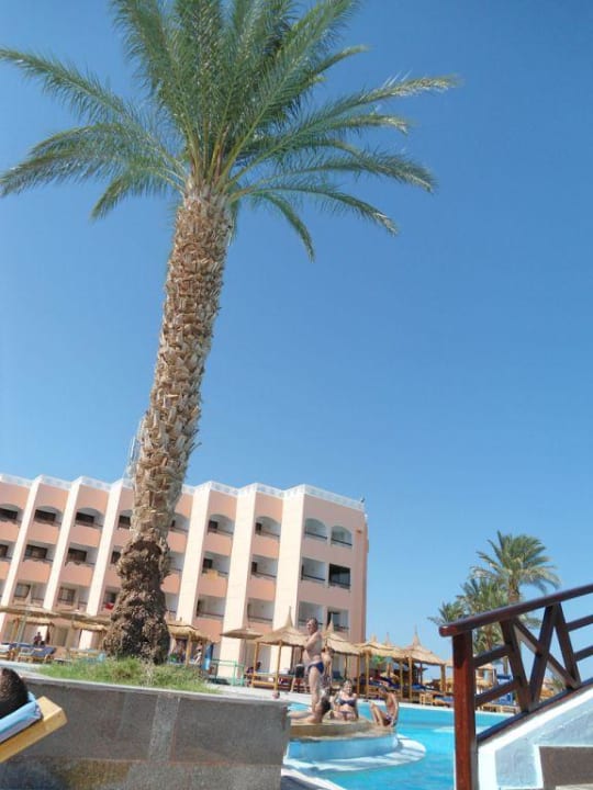 Palme Beach Albatros Resort