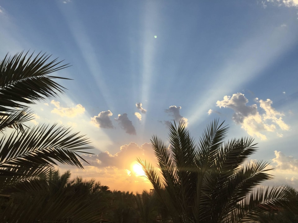 Sonnenaufgang Balkon Hotel JAZ Makadi Star & Spa