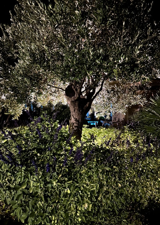 Gartenanlage Ikos Odisia