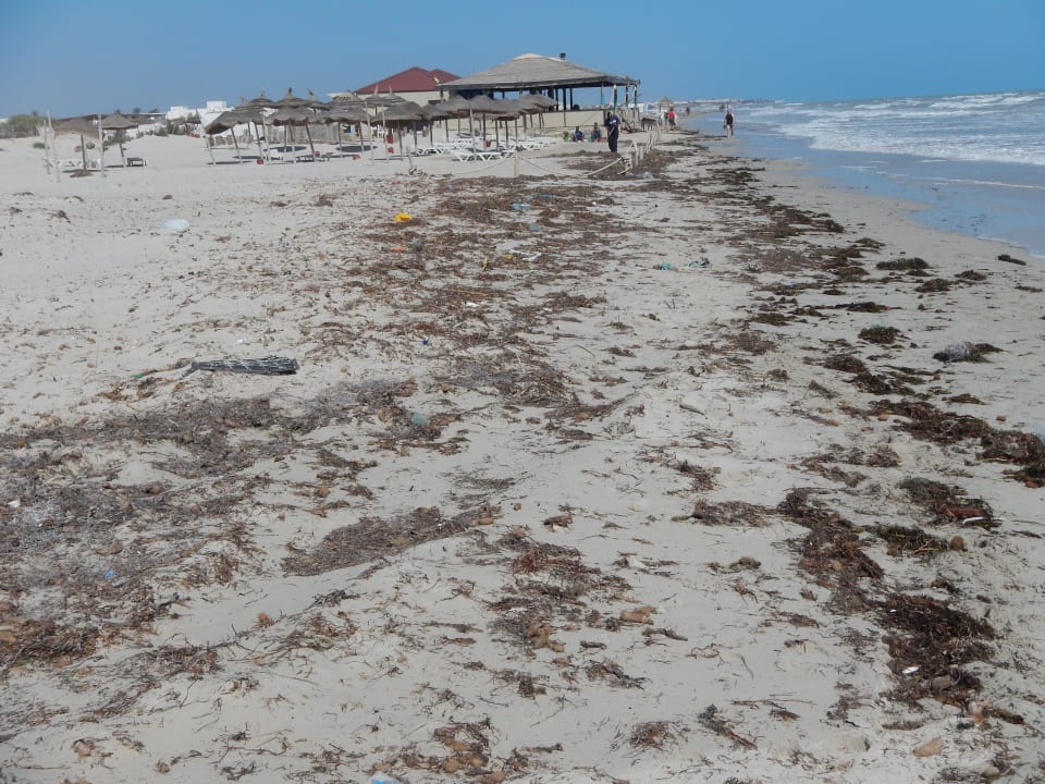 Aber es gibt wohl noch viel zu tun... Djerba Plaza Thalasso & Spa