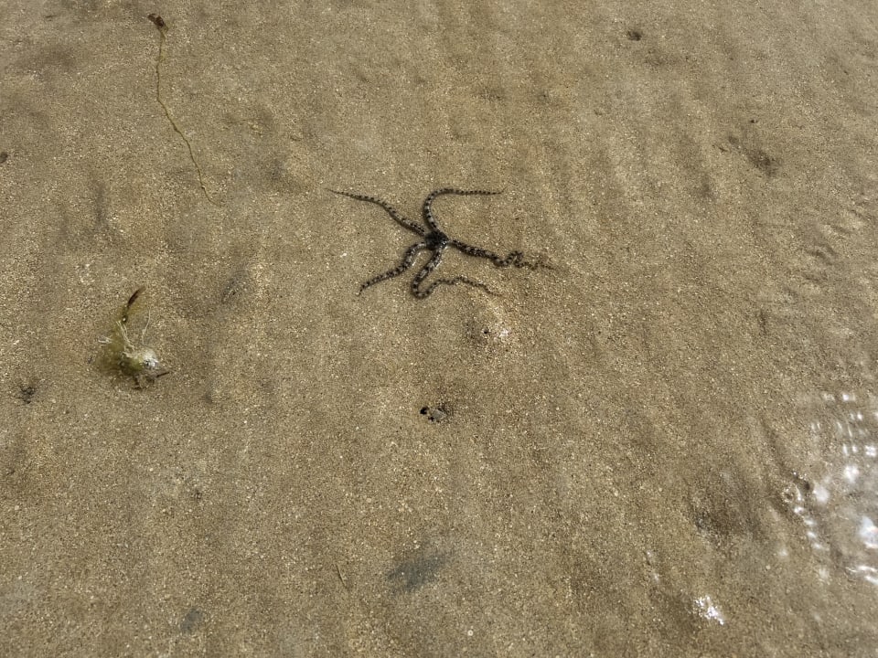 Strand Casa Mare Resort