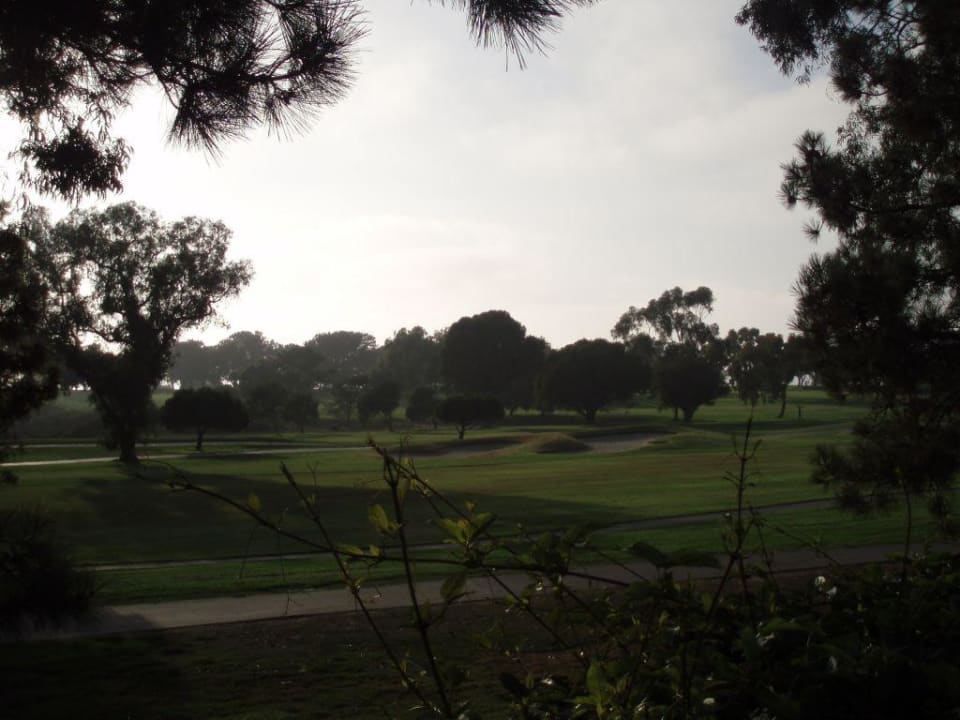 Hilton Torrey Pines Hotel Hilton La Jolla Torrey Pines