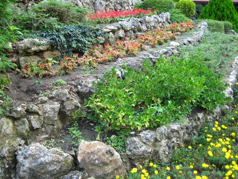 Blumen Odessos Park Hotel