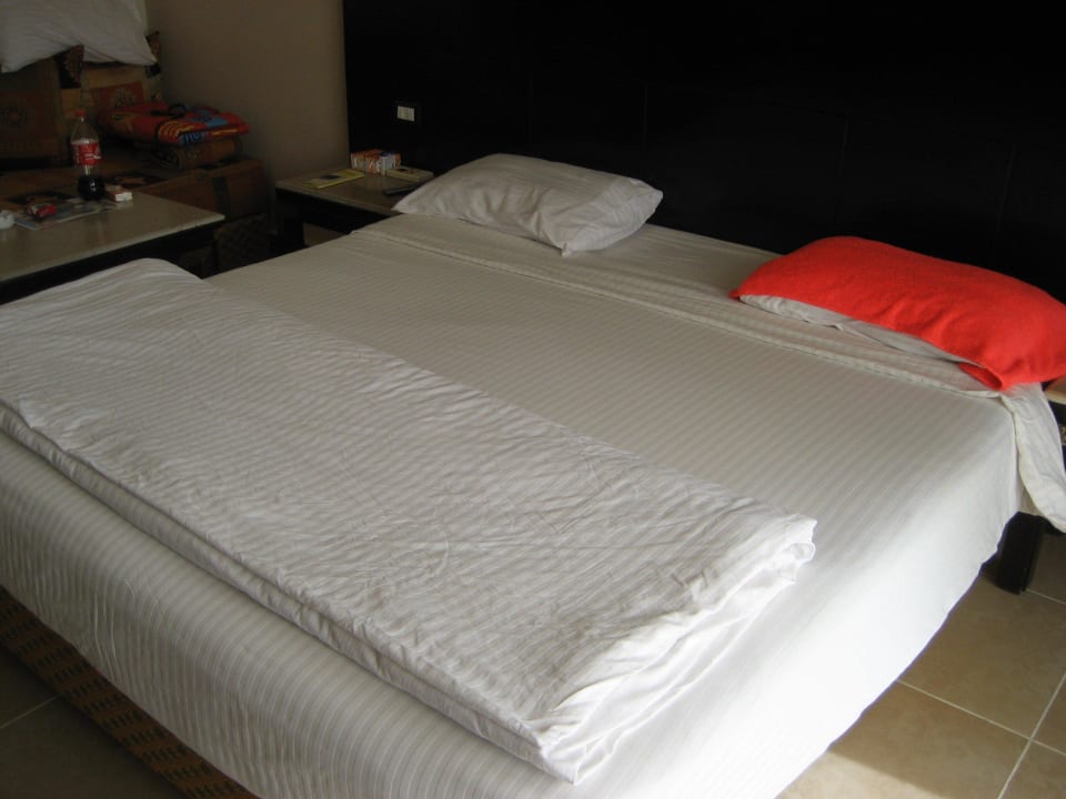 Zimmer Pickalbatros Palace Resort