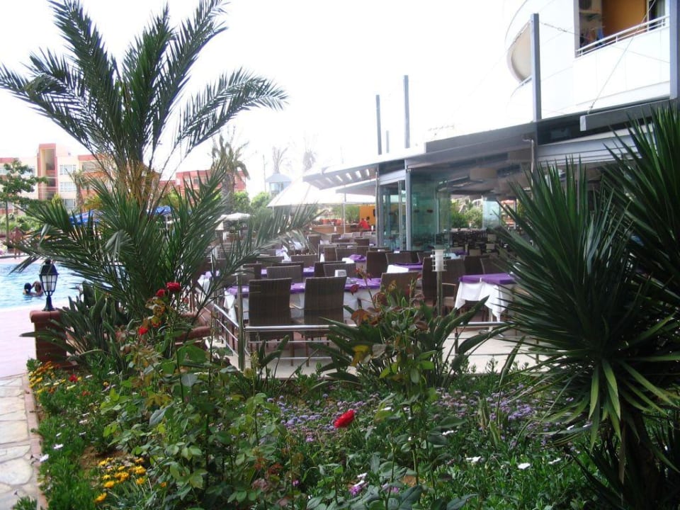 Restaurant My Home Resort