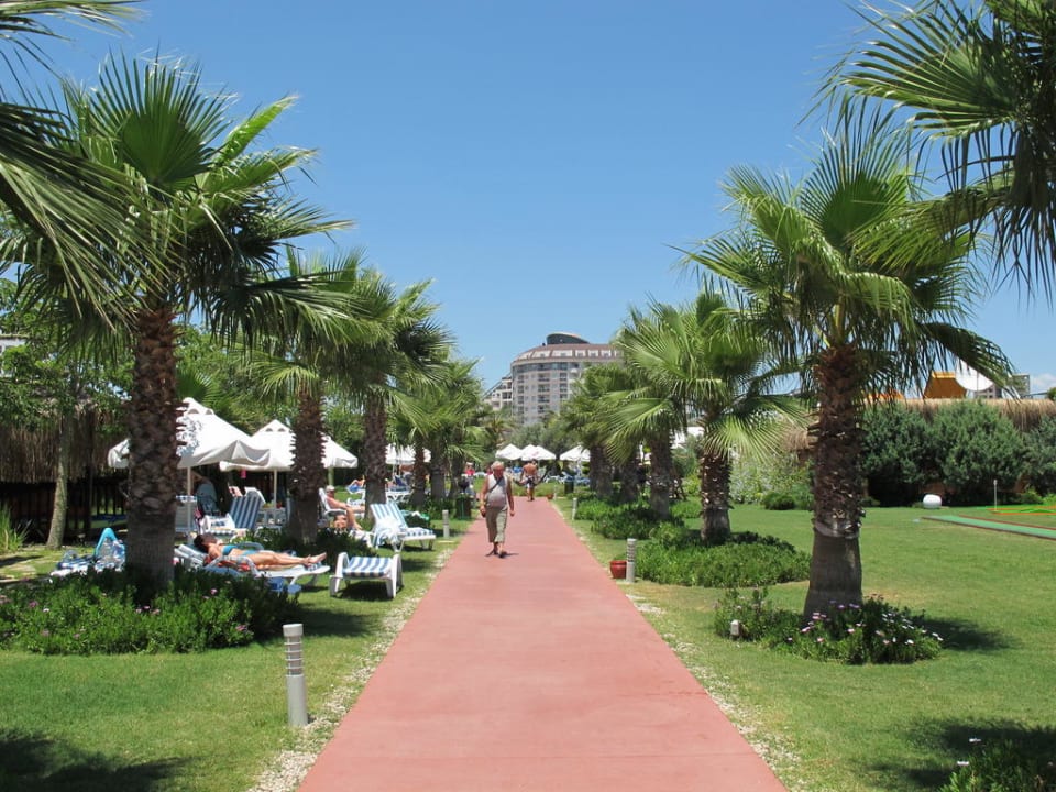 Weg zum Strand Saturn Palace Resort Hotel