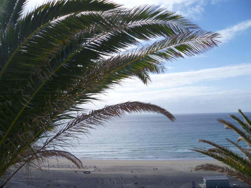 Von der Liege mit Blick ans Meer Club Jandia Princess