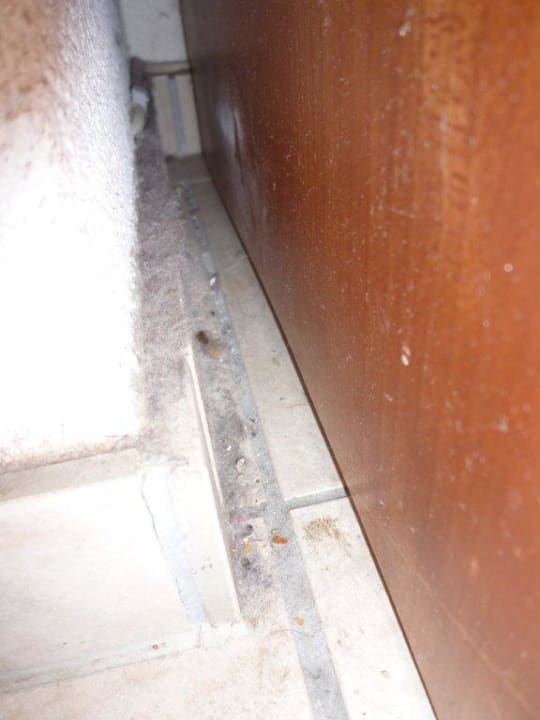 Staubig und dreckig Ferienwohnungen Residence Jungfrau