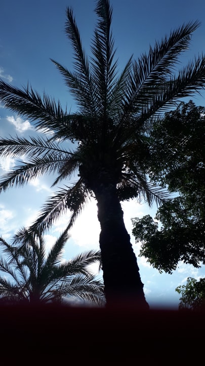 Gartenanlage Arcanus Hotels Sorgun