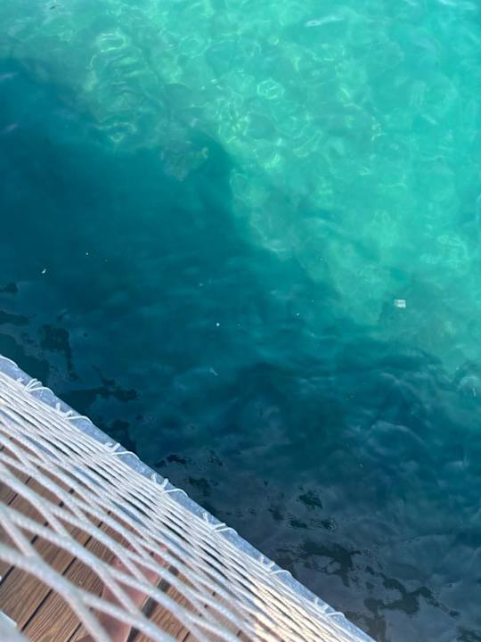 Strand Seven Seas Palmeras Bay Alanya