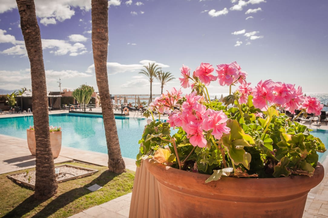 Pool Hotel Guadalmina, managed by Barceló