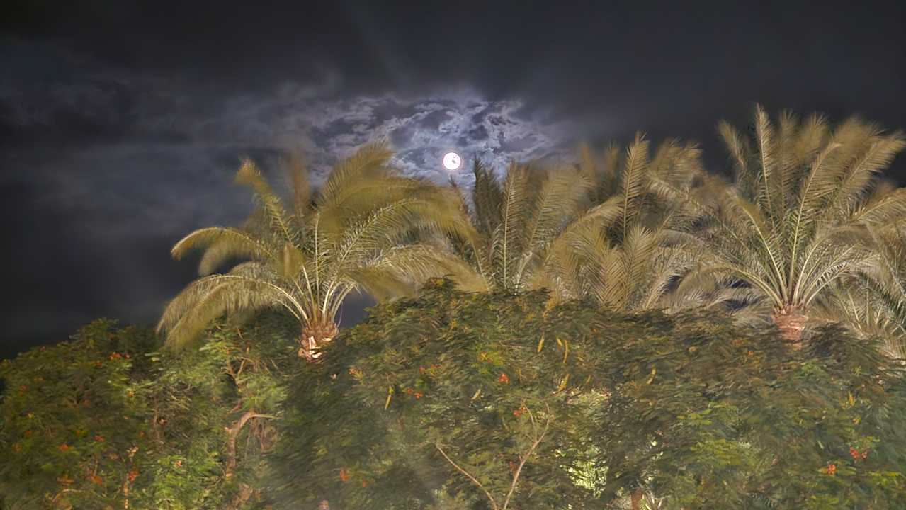 Sonstiges Sentido Caribbean World Soma Bay