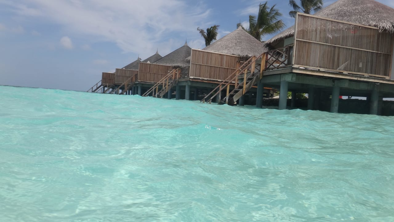 Nochmal Safari Island Maldives