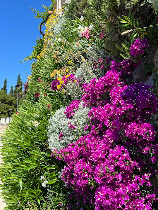 Sonstiges Valamar Argosy Hotel