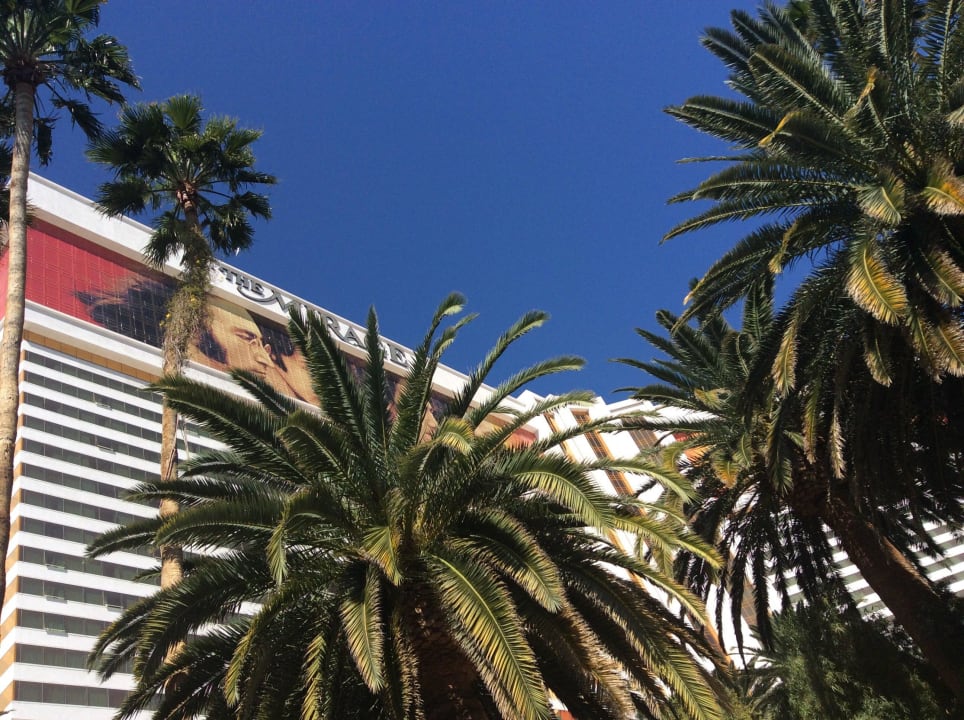Blick vom Pool in Richtung Hotel  The Mirage