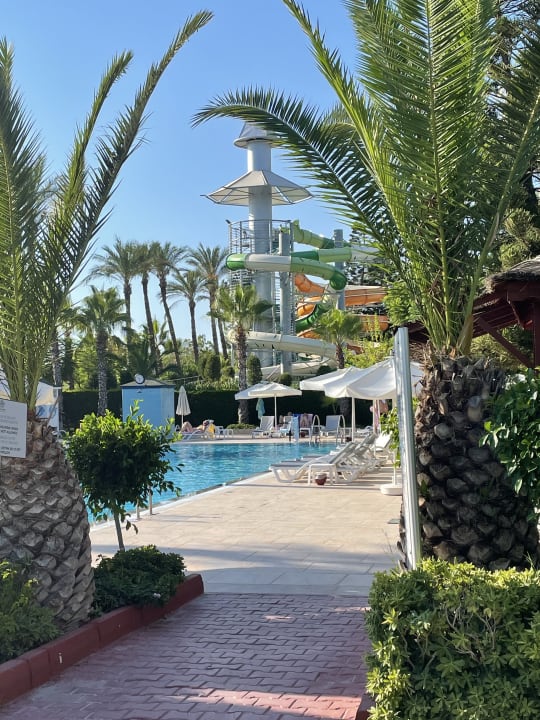 Pool Hotel Delphin Diva