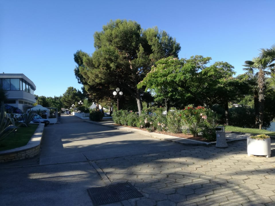 Ausblick Hotel Zorna Plava Laguna