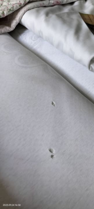 Zimmer Berghotel Drei Brüder Höhe