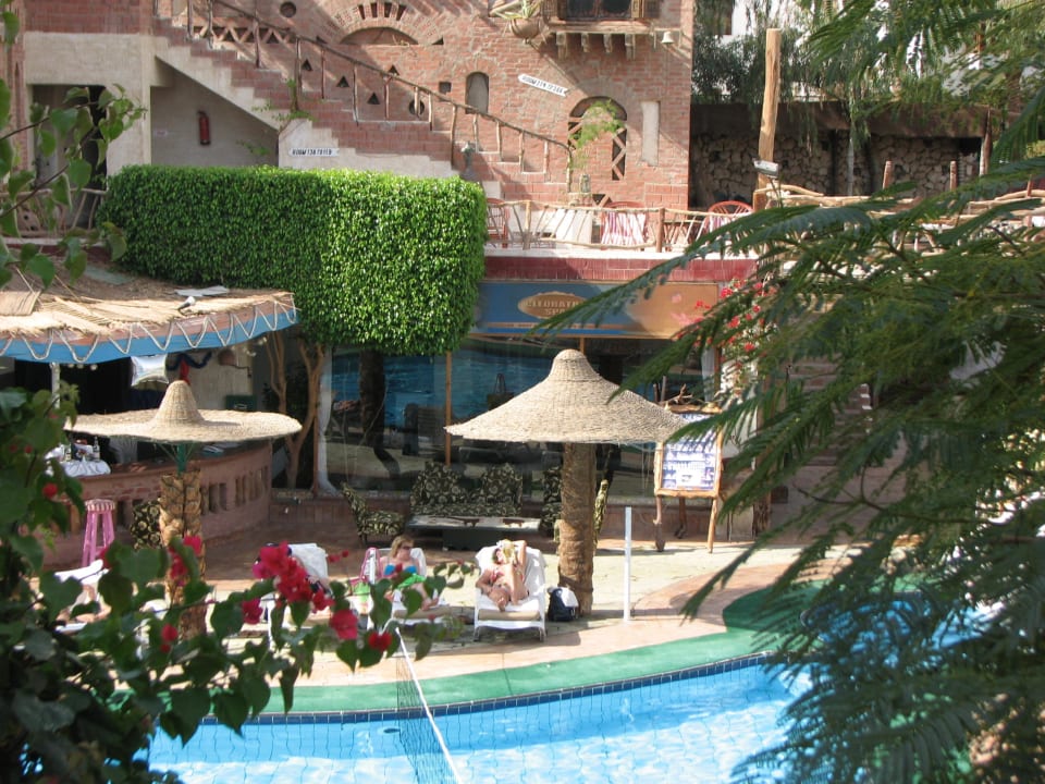 Hotel i basen Hotel Amar Sina