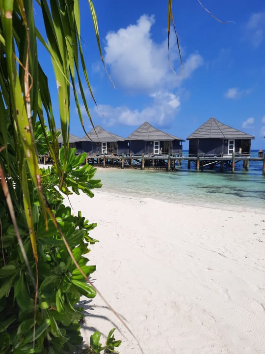 Außenansicht Kuredu Island Resort & Spa