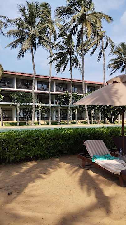 Gartenanlage Hotel Jetwing Beach